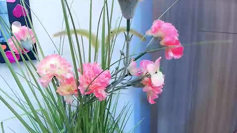 amy__wats0n online show from March 2026 07:17:01 PM