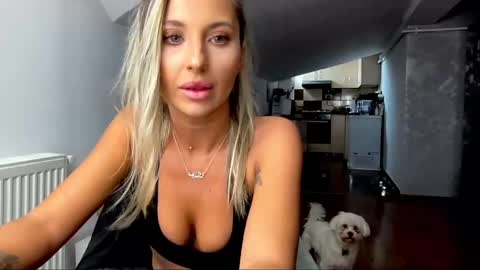 Snapshot of amyroberta92 chatting on December 2024 09:57:01 AM amyroberta92 online show from December 2024 09:57:01 AM