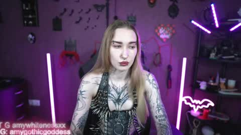 Snapshot of amywhitenessxx chatting on June 2026 03:47:02 PM Amy switch Goddess divine Mistress online show from June 2026 03:47:02 PM