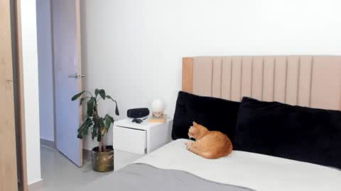 Ana Henao or Annie... Follow me ahenaocb Insta  X online show from October 2025 09:42:02 PM