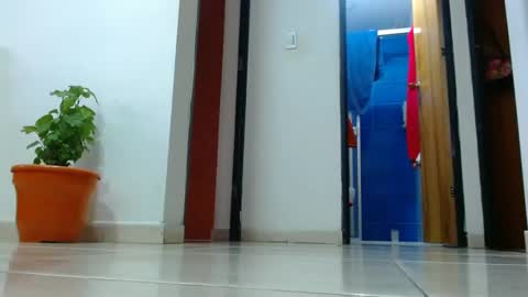 anaids online show from December 2024 02:57:02 PM