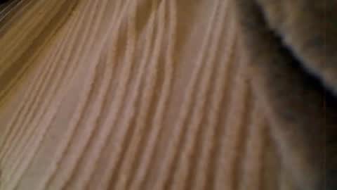 anaiserebel online show from January 2026 07:02:02 AM