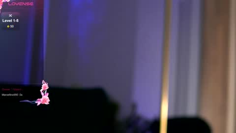 Anais online show from January 2025 07:46:02 AM