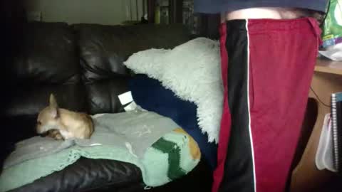 anal_king666 online show from January 2026 01:33:01 AM