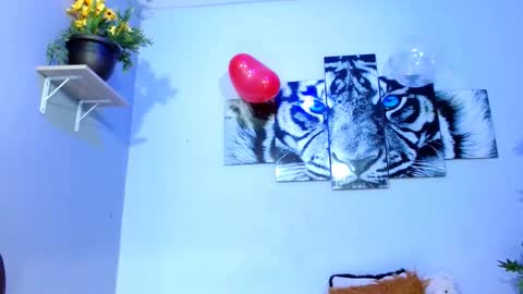 Analia online show from February 2025 04:56:02 PM