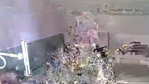 Snapshot of andorphina chatting on January 2025 12:24:01 PM Andorphin online show from January 2025 12:24:01 PM