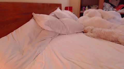 Andra online show from March 2025 01:59:02 PM