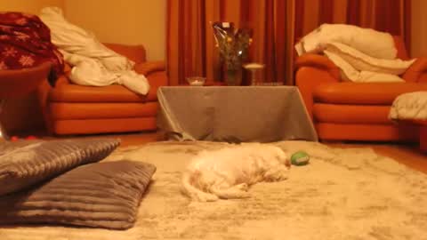 Andra online show from November 2025 10:25:01 PM