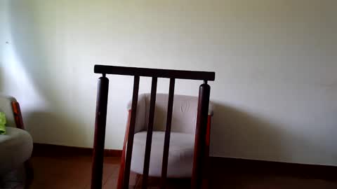 Andrea online show from October 2025 11:55:02 AM