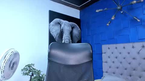 insta andres clark  online show from October 2025 06:14:02 PM