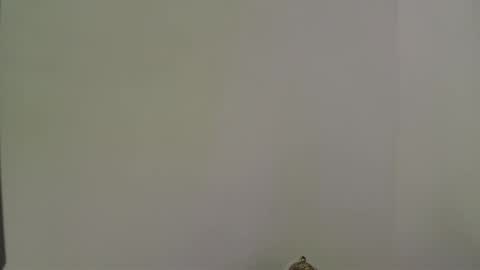 andres_stud online show from October 2025 04:34:02 AM