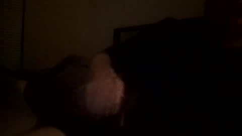 andresgarcia2424 online show from December 2024 04:01:02 AM
