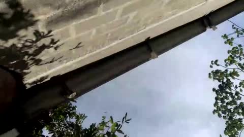 andrew online show from September 2025 08:30:02 PM