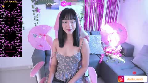          online show from December 2024 02:33:01 PM