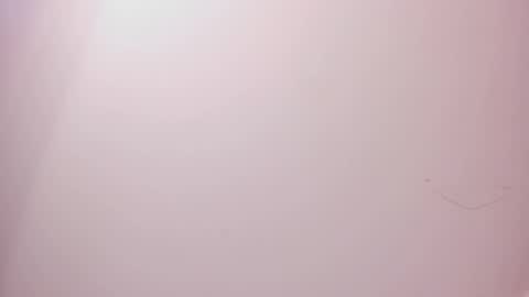 Snapshot of angel_hardy_dl chatting on February 2025 02:59:01 PM angel hardy online show from February 2025 02:59:01 PM