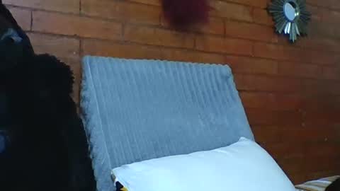  Angela  online show from December 2025 07:10:01 PM