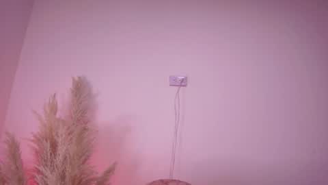 Angela Big boobs White online show from February 2025 11:02:01 AM