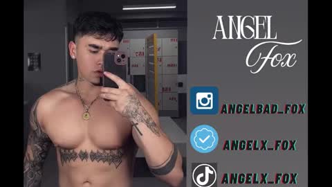 Angel Fox online show from November 2025 05:40:01 AM
