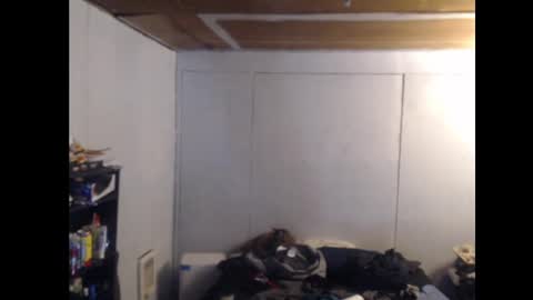 Snapshot of anilyseardor chatting on February 2025 11:08:02 AM Ani online show from February 2025 11:08:02 AM