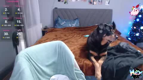 Anadirectgirl online show from December 2024 10:34:02 PM