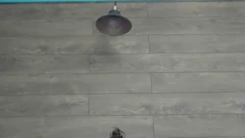 Snapshot of annasplash chatting on March 2025 05:46:02 AM annasplash online show from March 2025 05:46:02 AM