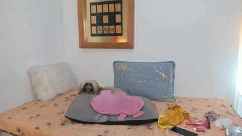 anna online show from February 2025 05:07:01 PM