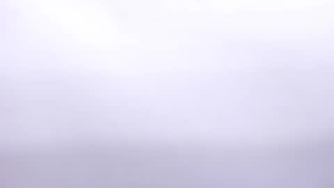 Annie online show from February 2025 07:04:01 PM