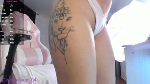 Snapshot of annnelson3 chatting on January 2025 04:44:02 AM Sofi online show from January 2025 04:44:02 AM