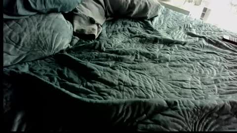 Anonpov couple online show from February 2026 12:55:02 AM