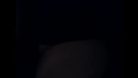 Snapshot of antxon12 chatting on October 2025 10:54:02 PM antxon12 online show from October 2025 10:54:02 PM