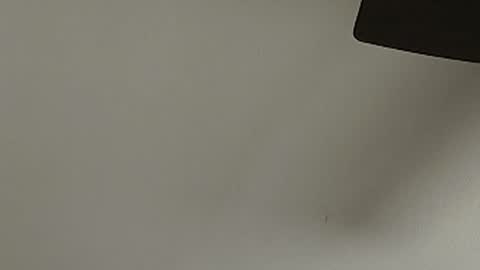 anydaynow2024 online show from December 2025 05:39:02 PM