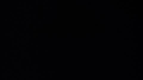 Punk online show from October 2025 10:20:02 PM