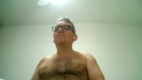 Snapshot of apixaba chatting on February 2025 09:52:02 PM furry bear online show from February 2025 09:52:02 PM