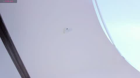 Snapshot of apoloklein_ chatting on July 2026 12:13:01 PM Apolo Klein online show from July 2026 12:13:01 PM