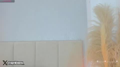 Snapshot of april_ebony18_ chatting on June 2026 10:53:02 AM April online show from June 2026 10:53:02 AM