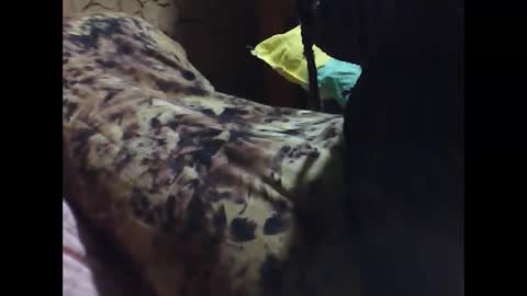 ara bellah online show from March 2026 08:34:01 PM