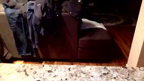 Knowledgeiskeyy online show from January 2026 10:19:02 AM