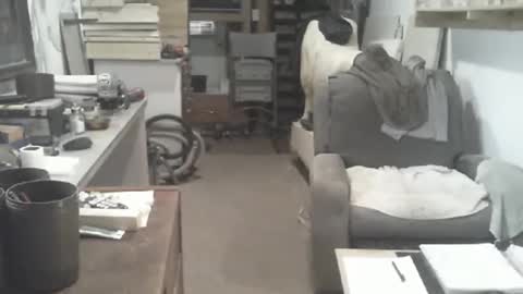 arealshowoff online show from April 2026 03:24:02 PM