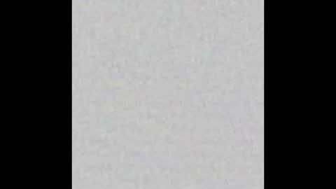 Arianna Collins online show from October 2025 11:55:01 AM