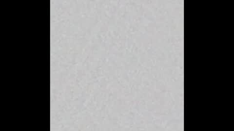 Arianna Collins online show from January 2026 11:47:01 AM