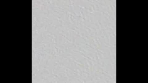 Arianna Collins online show from March 2026 11:25:01 AM