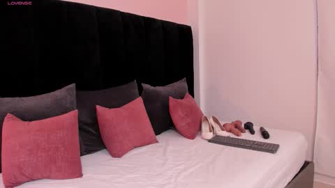 Ariel online show from November 2025 05:25:01 PM