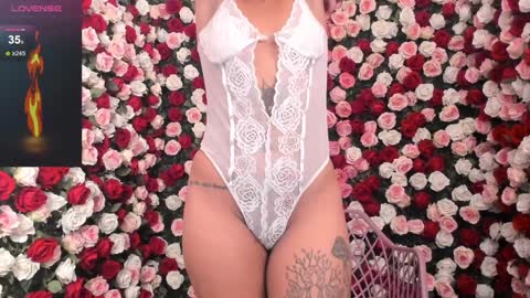 A R I   online show from January 2025 12:31:01 PM