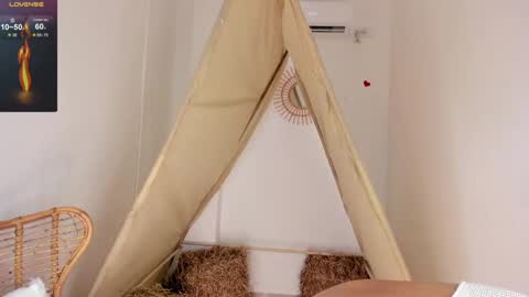 A R I   online show from September 2025 12:06:01 PM