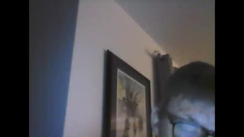 Snapshot of ariens chatting on January 2025 06:45:01 AM ariens online show from January 2025 06:45:01 AM