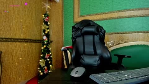    online show from December 2024 03:12:02 PM