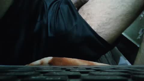 art_max99xxx online show from January 2025 02:14:01 AM