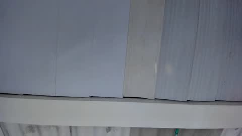 FENIX online show from October 2025 01:06:01 AM