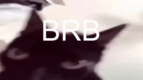 AshleyAshe  online show from January 2025 11:29:01 PM