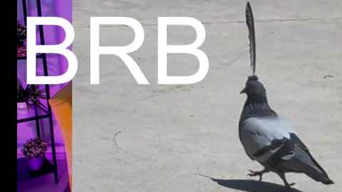 AshleyAshe  online show from March 2025 05:08:01 AM